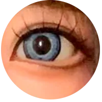 29.webp